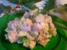Mustard of Fun Potato Salad from the Longmeadow Farm. Recipe by Andi of Longmeadow Farm