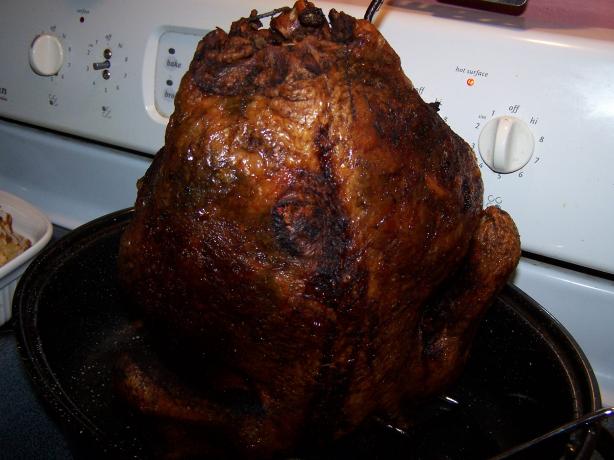 Deep Fried Turkey Flavor Injector Marinade. Photo by Munchkin Mama