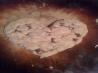 World's Best Chocolate Chip Cookies