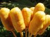 Mini Corn Dogs (From Emeril). Recipe by 2Bleu