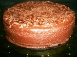 Double-Choc Delight Cake