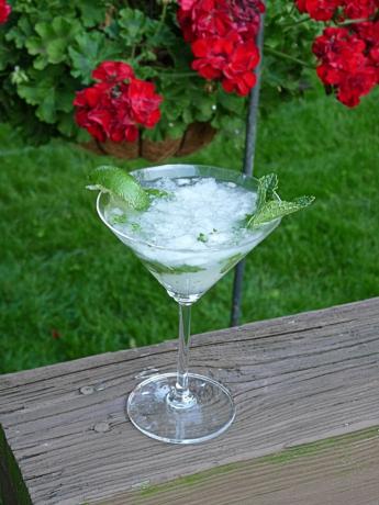 Mojito. Photo by Mama Cee Jay