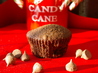 Double Kisses Chocolate Cupcakes