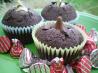 Double Kisses Chocolate Cupcakes. Recipe by Redsie