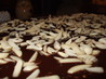 Almond Joy Cake