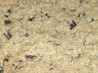 Chocolate Chip Cookie Bars. Recipe by dulce_amore