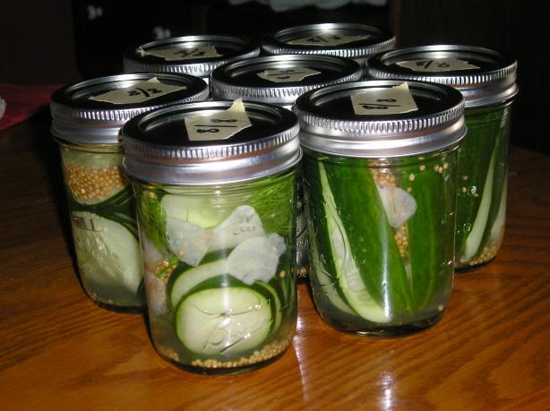 Small-Batch Refrigerator Dill Pickles. Photo by Edesia
