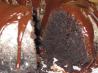 Chocolate! Chocolate! Chocolate! Bundt Cake With Chocolate Glaze