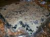 Cookies and Cream Fudge/Oreo Cookie Fudge