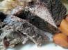 To Die for Crock Pot Roast