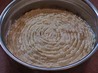 Shrimp Dip