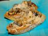2bleu's Mushroom and Swiss  on Crostini Toast Appetizers. Recipe by 2Bleu