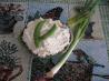 Gramma G's Blue Cheese Spread. Recipe by Chicagoland Chef du Jour