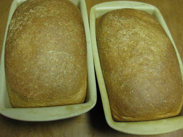 Honey Whole Wheat Bread. Photo by Charlotte J