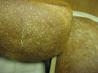 Honey Whole Wheat Bread