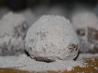 Mexican Hot Chocolate Balls. Recipe by Michelle Berteig