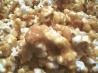 Can't Stop Eating It! Caramel Corn. Recipe by Sweet Diva
