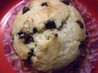 Basic Chocolate Chip Muffins