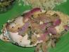 Amazing Basil Chicken - Low Fat