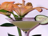 Etude in Green. Recipe by Julie B's Hive