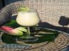 Malibu - Pi&ntilde;a Colada