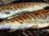 Quick Grilled Trout