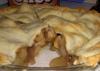 Simple & Tasty Apple Pie