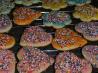 Classic Sugar Cookies Recipe. Recipe by Keeferop