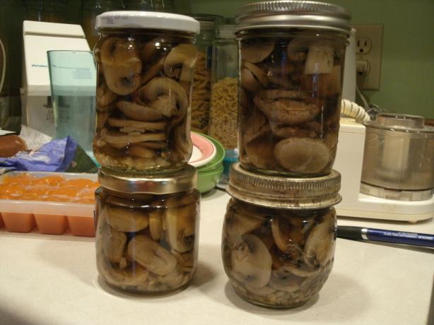 Pickled Mushrooms (Canned). Photo by Catnip46