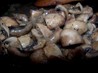 Quick Low-Fat Mushrooms