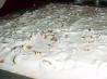 White Texas Sheet Cake