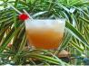 Harvest Nectar Cocktail. Recipe by Bev