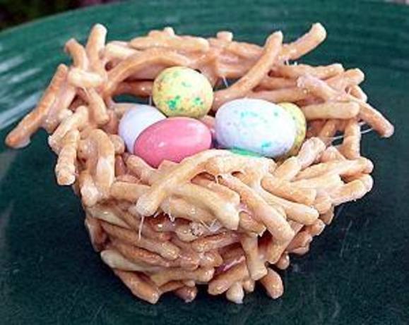 Bird Nests. Photo by JamiLeigh