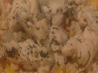 Chicken and Herbs in a White Wine Sauce. Recipe by Scarlett516
