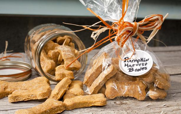 Pumpkin Dog Biscuits. Photo by Red Lab No.27
