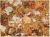 Chicken, Shrimp and Andouille Jambalaya