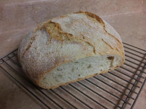Easy No Knead Dutch Oven Crusty Bread. Photo by alpurcell