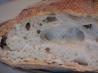 Easy No Knead Dutch Oven Crusty Bread