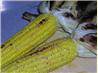 Grilled Corn on the Cob with Zesty Butter