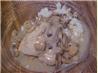 Mom's Buttered Chicken