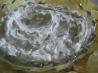Clam Digger's Dip. Recipe by Color Guard Mom
