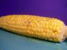 Corn on the Cob - Boiled