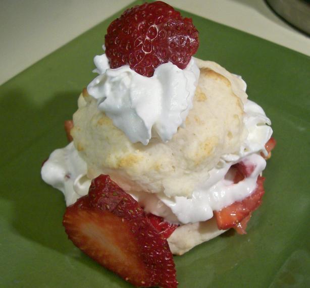 Diabetic Strawberry Shortcake. Photo by Crafty Lady 13