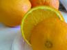 Frozen Oranges