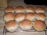 Whole Wheat Dinner Rolls