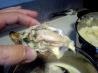 Oysters With Spinach and Lemon Sauce. Recipe by Cucina Casalingo