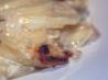 Gratin Dauphinois
