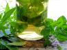 Herbal Vinegar With Lemon Verbena & Mint. Recipe by - Carla -
