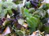 Sunday's Healthy "vitamin A" Salad for Energy. Recipe by **Sunday**