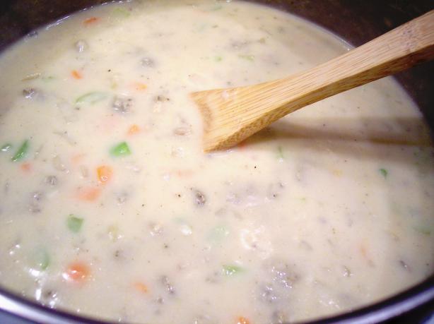 Quick and Easy Cream of Chicken Soup (Lite-Bleu). Photo by Nif